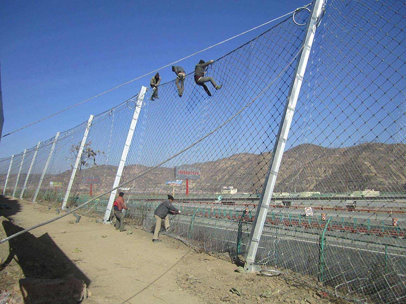 ����(d��ng)���o(h��)�W(w��ng)